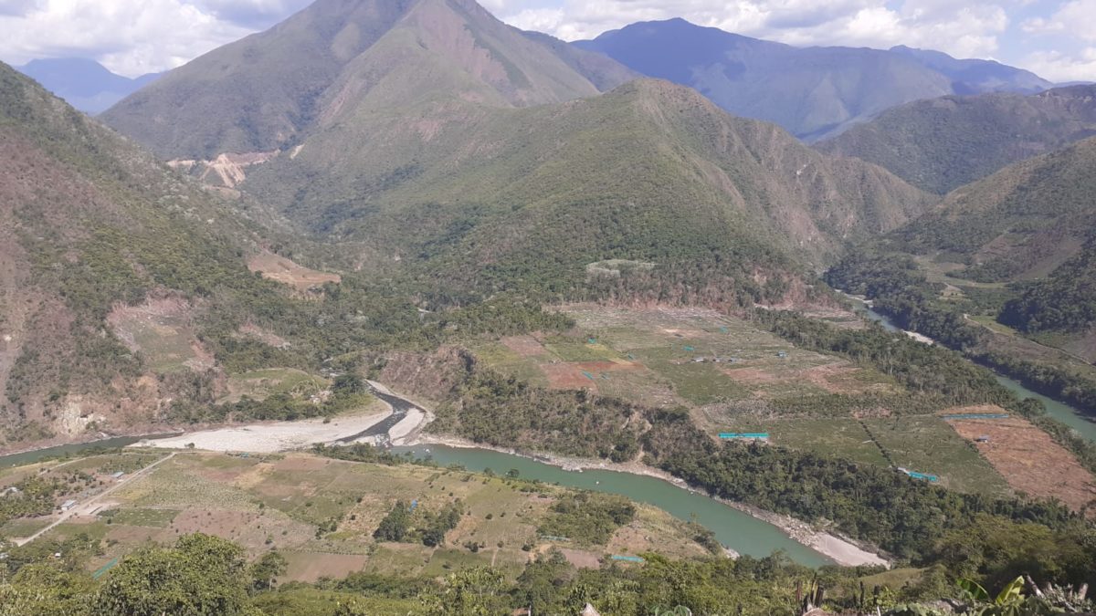 Ayacucho: tala y narcotráfico destruyen los bosques de neblina