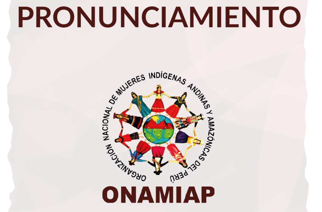 Onamiap: “Exigimos una Asamblea Constituyente construida de abajo hacia arriba”