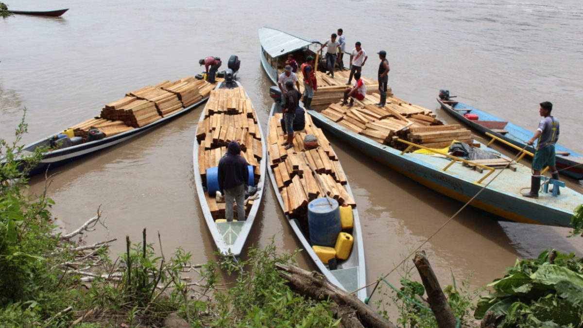 Nación Wampís determina cese de tala y comercio ilegal de madera ante inacción del Estado