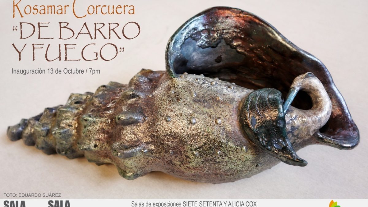 Rosamar Corcuera inaugura la nueva muestra individual “De barro y fuego”