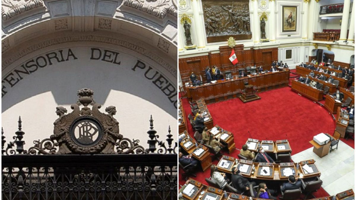 Elección del Defensor/a del Pueblo: razonamiento político y votos