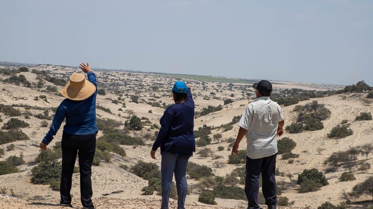 Sancionan a empresa vinculada al Sodalicio por infringir ley ambiental en bosque seco de Piura