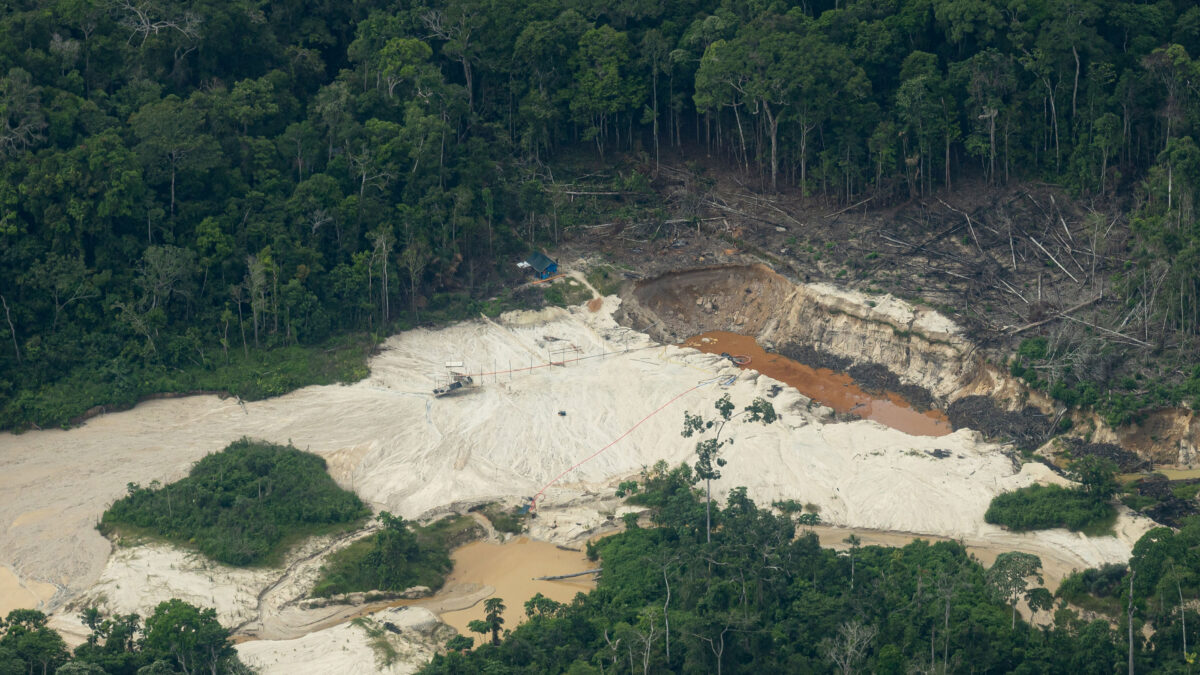 Ucayali: advierten incremento de deforestación, minería ilegal y cultivos ilícitos en el río Abujao