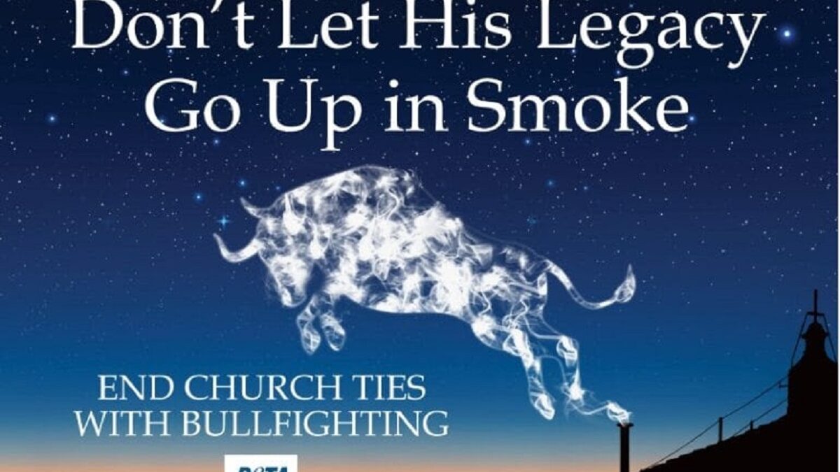 PETA UK pide al nuevo papa León XIV que ponga fin al apoyo de la Iglesia a corridas de toros