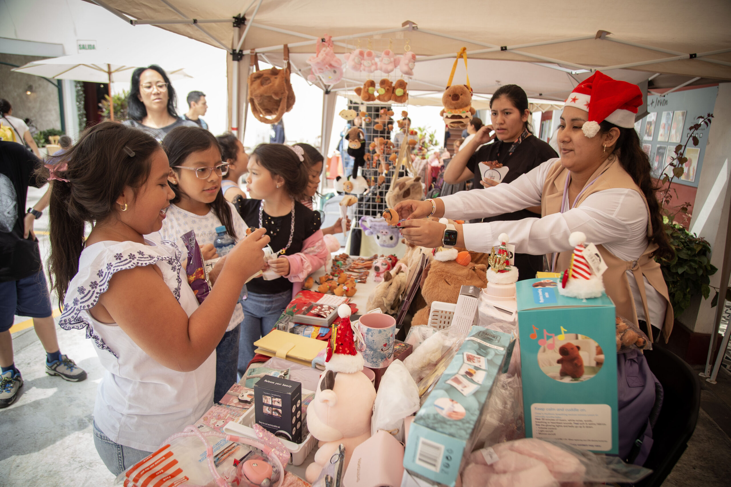 La Alianza Francesa de Lima presenta su “Mercado Navideño” en sus cuatro sedes
